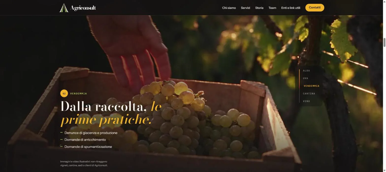 Demo Agriconsult: capitolo Vendemmia con le pratiche collegate